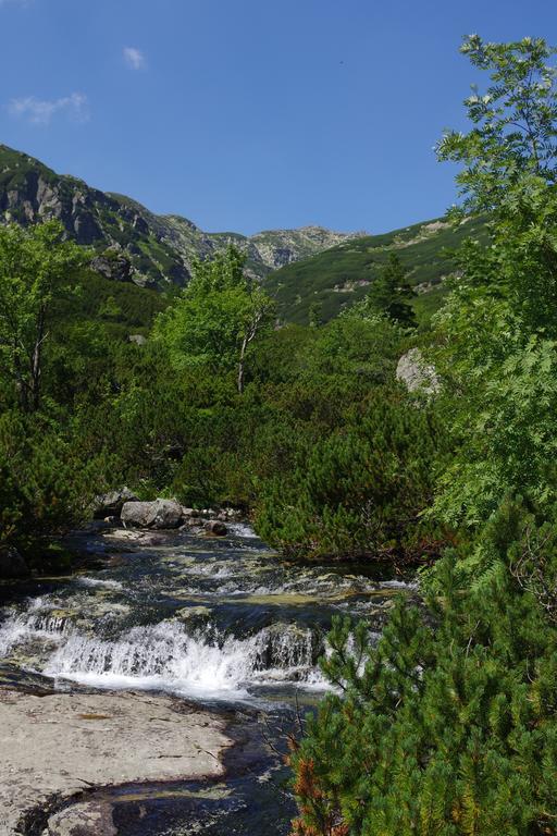Studio Livia Vysoké Tatry Exterior foto