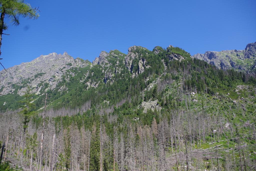Studio Livia Vysoké Tatry Exterior foto